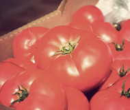 Dane County Farmers Market