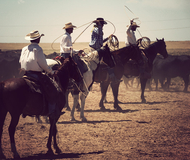 Zapata Ranch