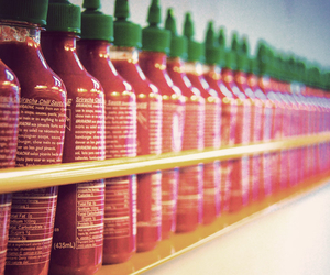 Electronic Sriracha Festival